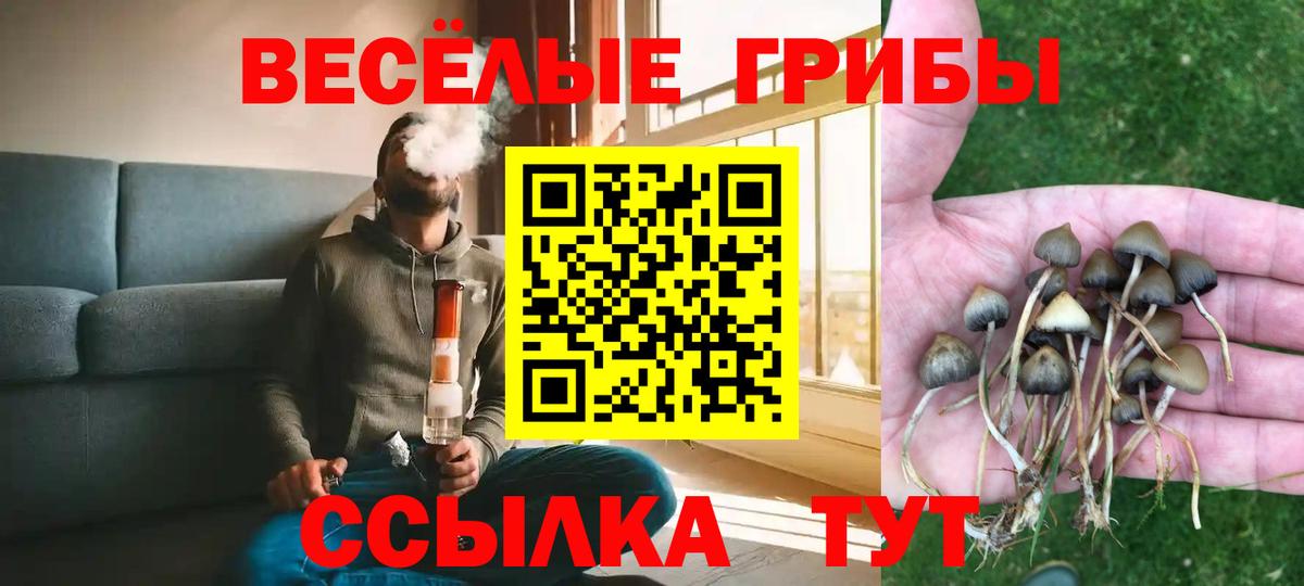 где купить наркотик  Псилоцибиновые грибы мицелий  Вход с VPN  Донской 
